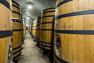 EA拒绝《龙腾世纪：起源》重制提案：不要送上门的钱